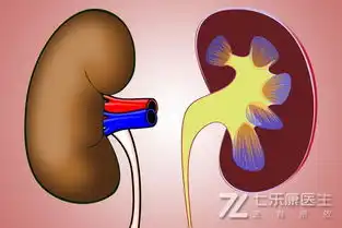 我是不是有点肾虚看完这篇就清楚了这一种肾虚才可怕