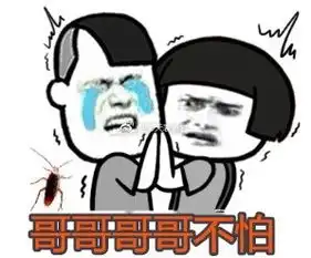 他不配的表情包小哥哥