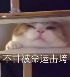 马思纯肚子又上热搜为什么女生的肚子就这么难减