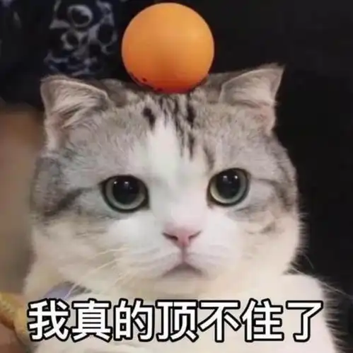 打工人离不开咖啡一次性解开这些疑惑