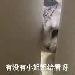 吃啥补啥