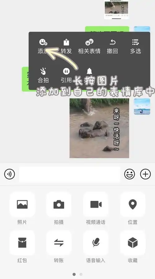 一路上大象们都生产了哪些表情包快来围观