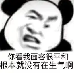 我才没有生气