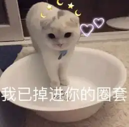 佟丽娅被粉丝骂上热搜后辞演新剧自炒绿帽人设真要不得