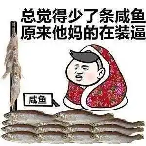 堆糖,美好生活研究所