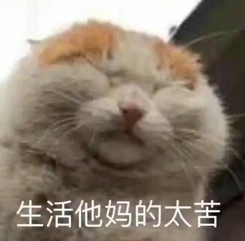 有没有什么比较卑微的表情包或者那种可以表达自己内心绝望和看破一切得表情包急