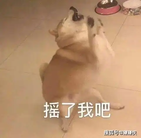 沙雕表情包图片给你倒水