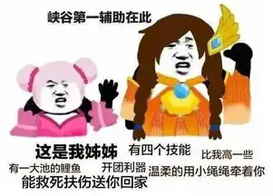 来一把王者荣耀表情包禁