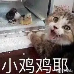 女生见到很帅的男生会什么感觉