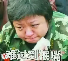 放炮的图片表情包大全韩