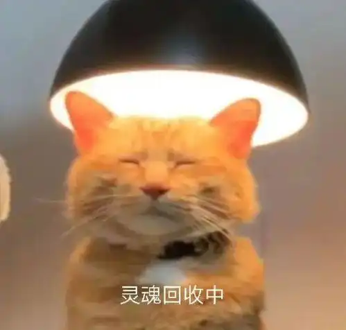 哎呀,栽了丨第806期喵表情包