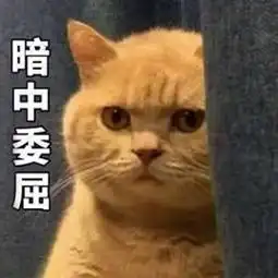 我妈不让我跟傻子玩表情下载我妈不让我跟傻子玩表情包9p极光下载站