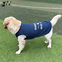 最新猫狗通用服饰报价及图片大全什么值得买
