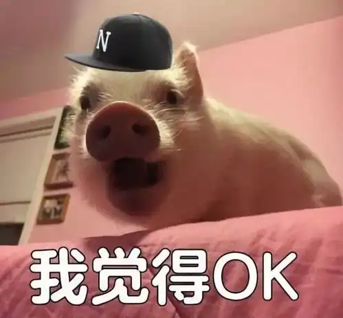 真人表情包搞笑口头禅
