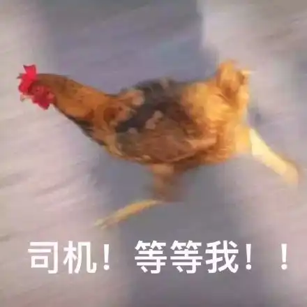 鸡年表情包下载鸡年表情包gif滑稽鸡年表情包