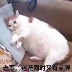 表情包胖子图片大全表情