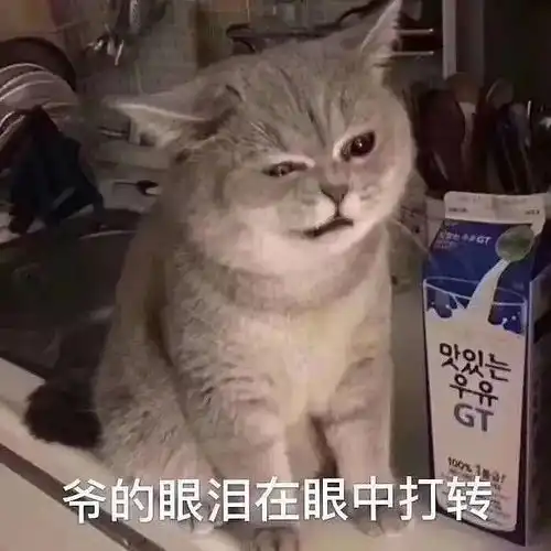 笑出鹅叫声表情包女的猫