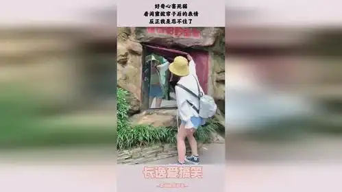 好奇心害死猫,看闺蜜掀帘子后的表情,反正我是忍不住了