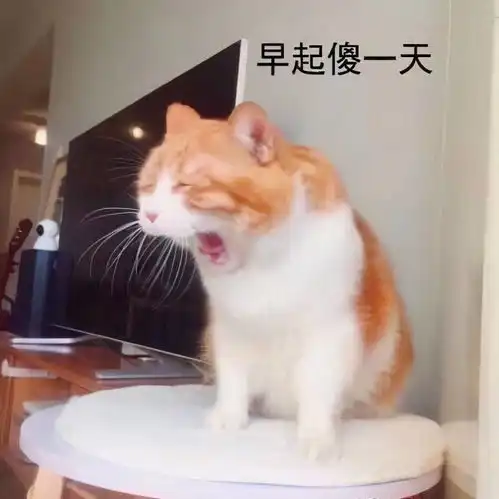 睡觉表情包猫叫