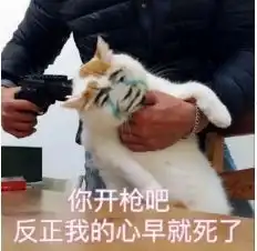 啊啊啊啊啊这些腿精女孩也太好看了吧