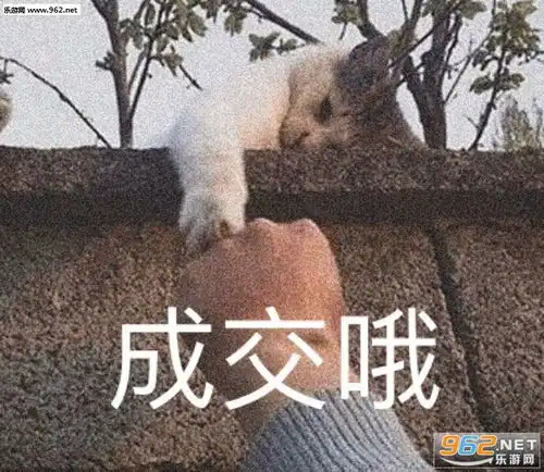 你看了个寂寞图片你看我这样子像有钱吗表情包下载乐游网游戏下载