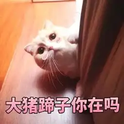 钢铁直男送礼指南谨以此文献给你的求生欲