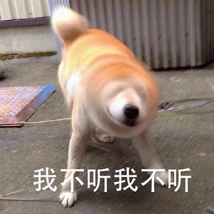 表情包我不听我不听