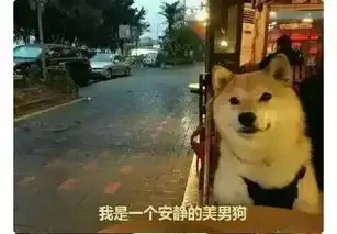 农村大学生从城市辞职,1分钟决定回农村,竟然是因为...
