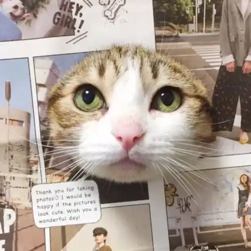 贱萌头像有些什么