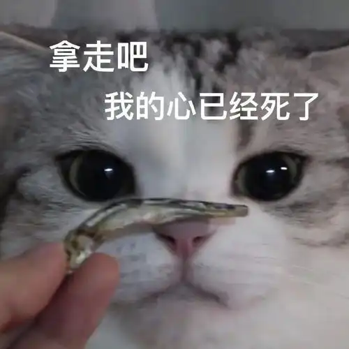 男子大骂邻居老婆你有了别的男人就抛弃我其中关系太复杂