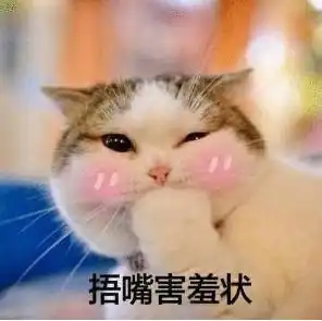 快给我变表情包快给我变猫娘表情包