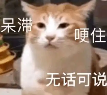 今天温度直达29大港人你的短袖换上了吗