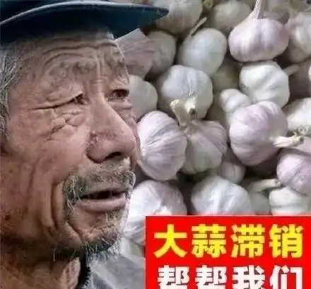 滞销帮帮我们表情包大爷