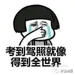 大姐练倒车练出表情包,网友我本人