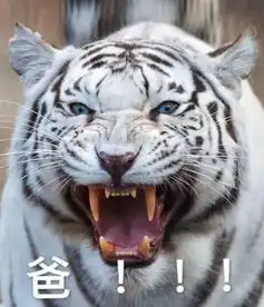猛虎落地式下跪表情包不
