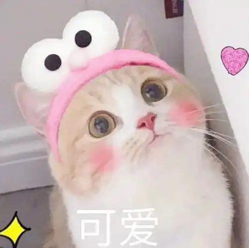 女生对男生说你好可爱意味着什么