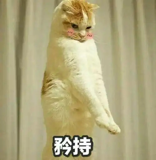 刚恋爱的女人真虚伪