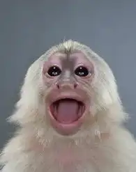 牛人把猴子拍得像人