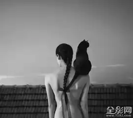 极简的黑白肖像