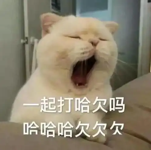 一组可以哄女朋友开心的超可爱表情包