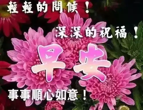 心疼你表情包微信祝福