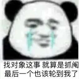 熊猫头搞笑专用表情怎么都没人喜欢我的