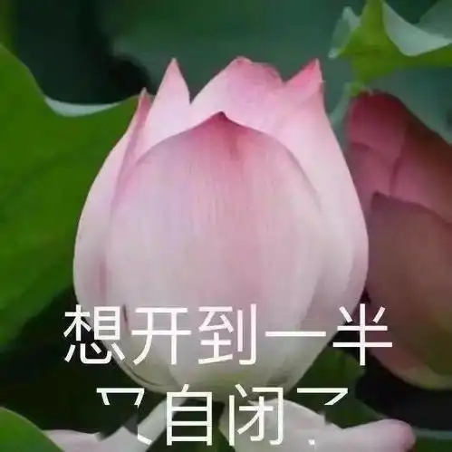 当代社会七大生活谎言每日搞笑段子