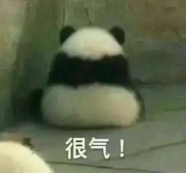 一国宝出去和人打架骨折了,为了治疗它,工作人员只好....
