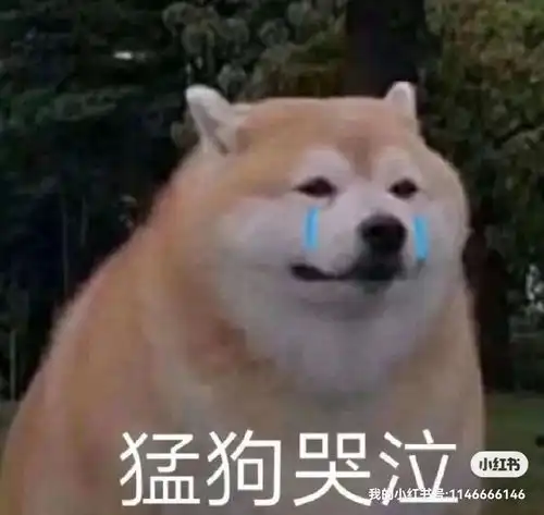 知乎用户fpcmtm的想法西安石油大学和河南理工大学哪个好呀
