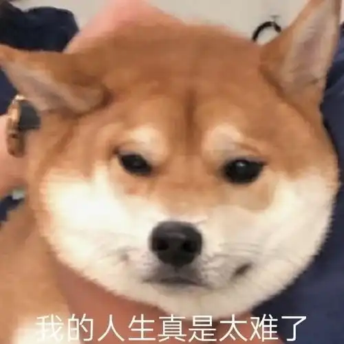 求租丨三室一厅整租,三个女生住
