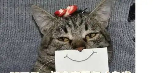 网友为了让猫在家来去自如,特意装了个猫门,结果没想到