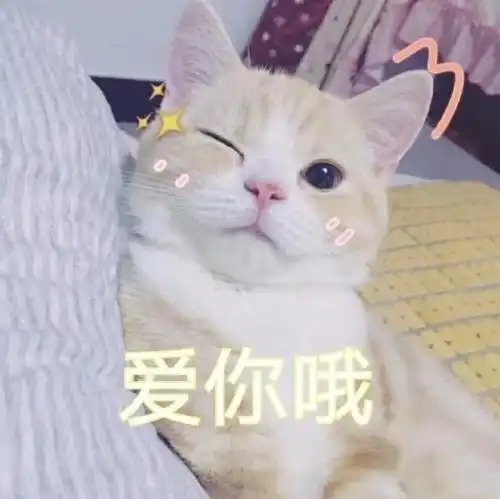 猫猫头表情包撒盐