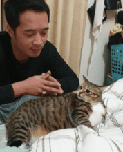 男友不喜欢猫,相处一段时间后,男友蹲床边给猫按摩,网友真香
