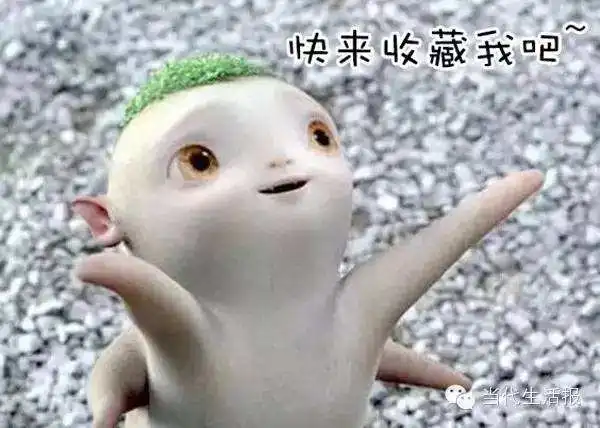 18款禁用动态表情包图片禁用的表情包用动态表情包软件免费